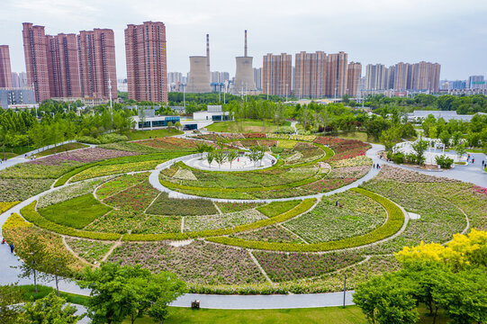 航拍郑州月季花海螺旋形植物园