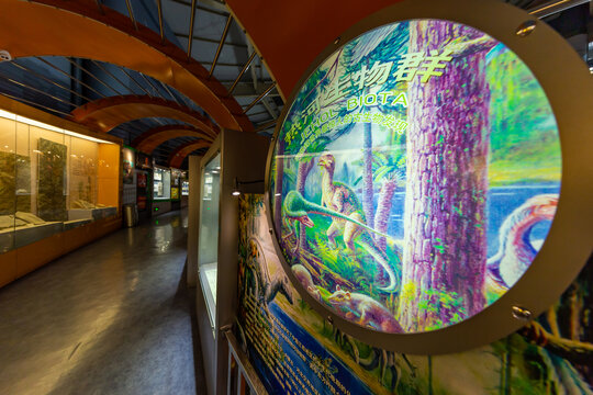 河南自然博物馆生命演化展厅