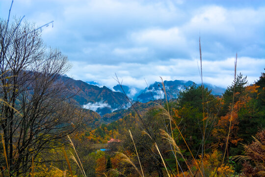 米仓山秋景