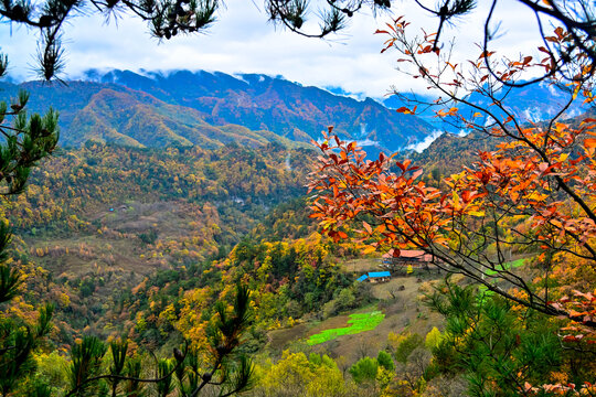 米仓山秋景