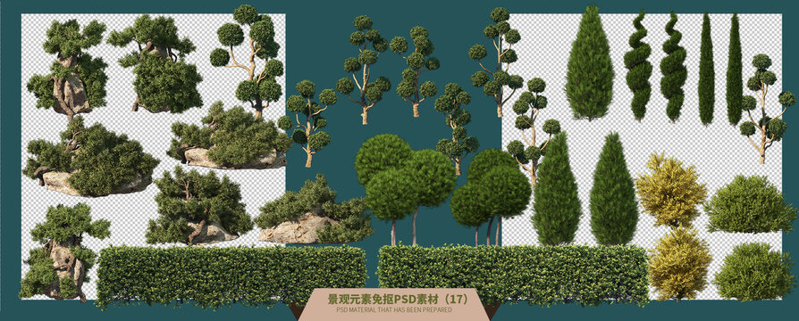 30棵灌木园林景观素材