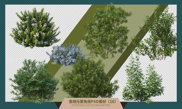 6种绿色灌木景观植物合成素材