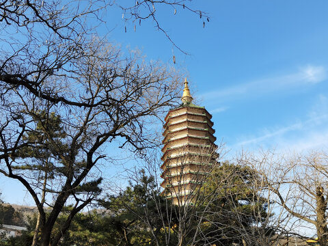 八大处公园景区一角