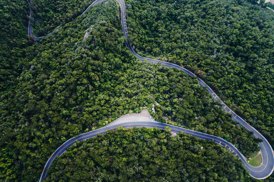 森林山路