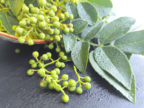 雨天青粒花椒