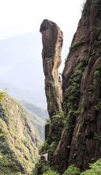 蟒蛇出山