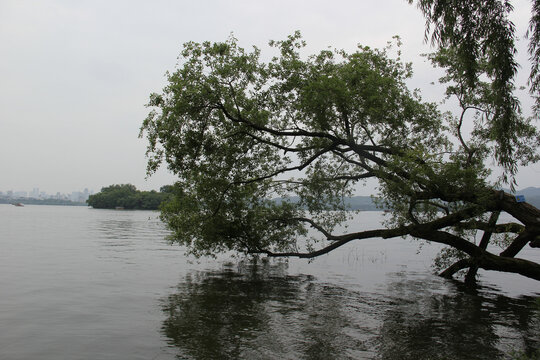 浙江杭州西湖景区