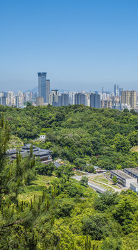 温州城市建设风光