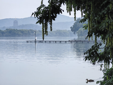 西湖美景