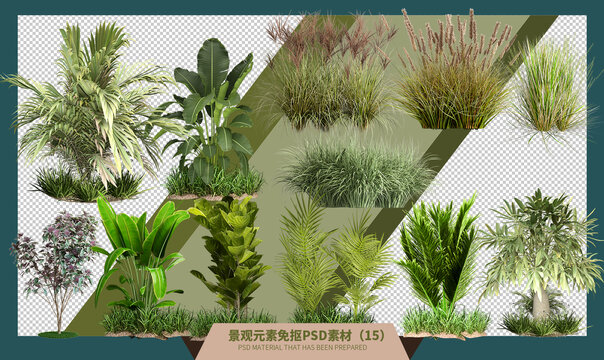 12种组合绿色植物园林素材