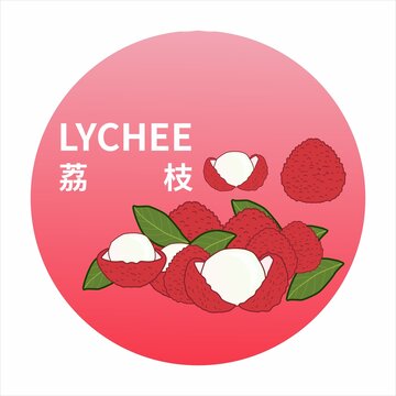 荔枝插畫