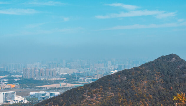 远眺城市