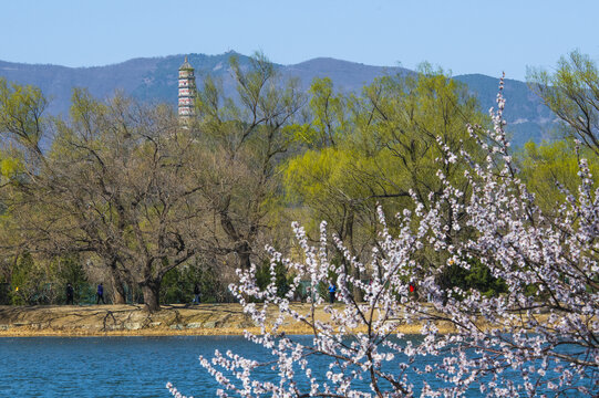 北京玉泉山玉峰塔