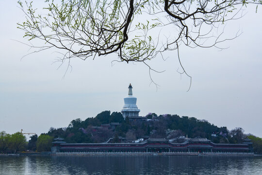 北京北海春色