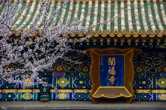 北京北海阐福寺