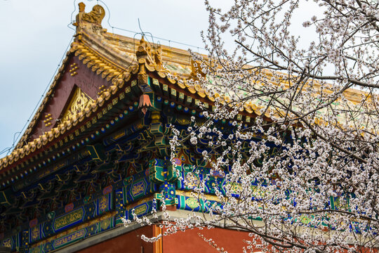 北京北海阐福寺