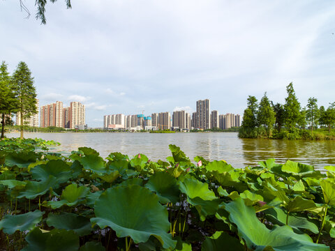 钦州白石湖风光