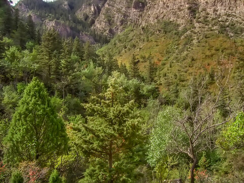 贺兰山南寺生态旅游区