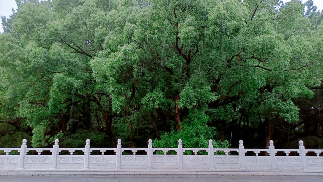 雷峰塔雨景