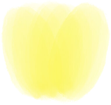 薄纱笔刷黄色郁金香花朵插画
