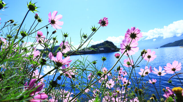 丽江泸沽湖风景区里格岛