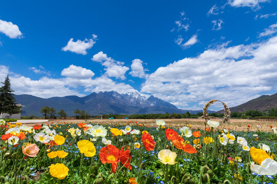 丽江百花园听花谷景区