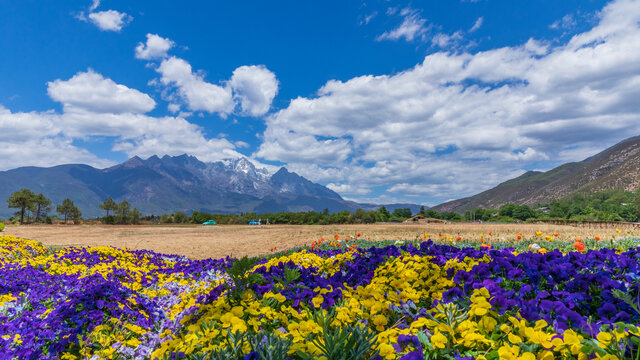 丽江百花园听花谷景区