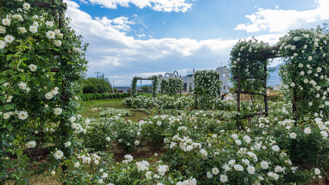 丽江百花园听花谷景区