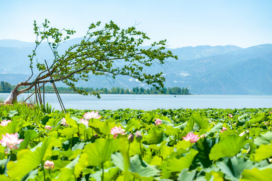 四川凉山州西昌市邛海湿地公园