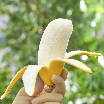 苹果香蕉