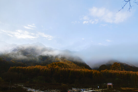 光雾山风景