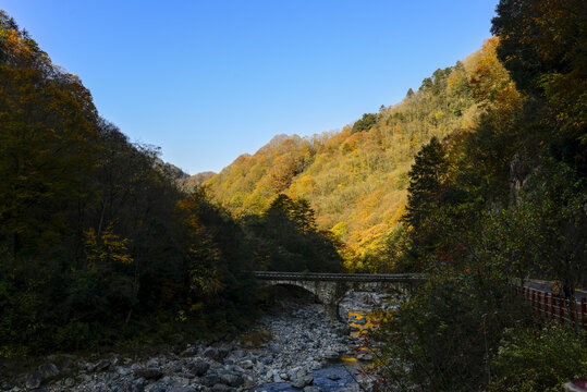 光雾山风景