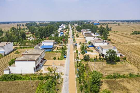 乡村马路上的麦子