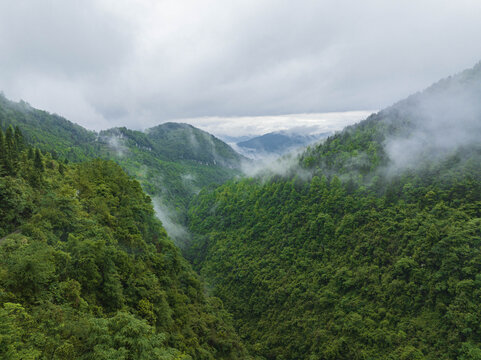 武隆仙女山