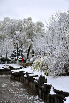 公园雪景