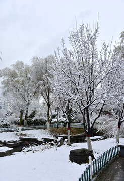 公园雪景