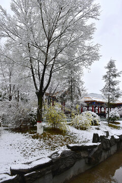 公园雪景