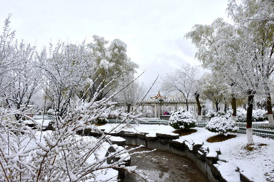 公园雪景