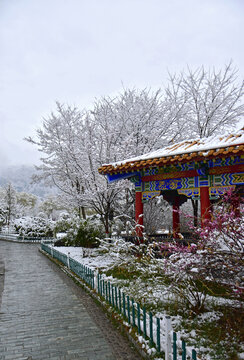 公园雪景