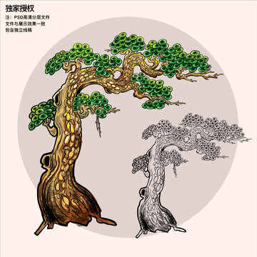 手繪國潮松樹