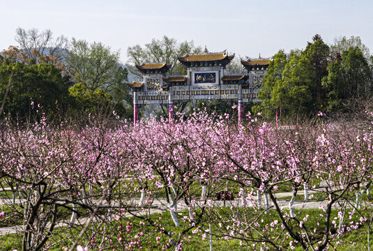 湘西桃花源