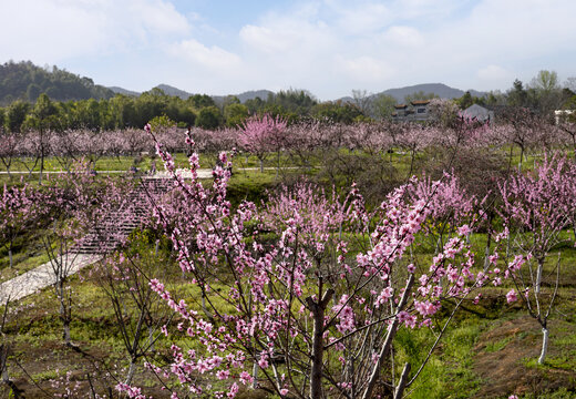 湘西桃花源风光