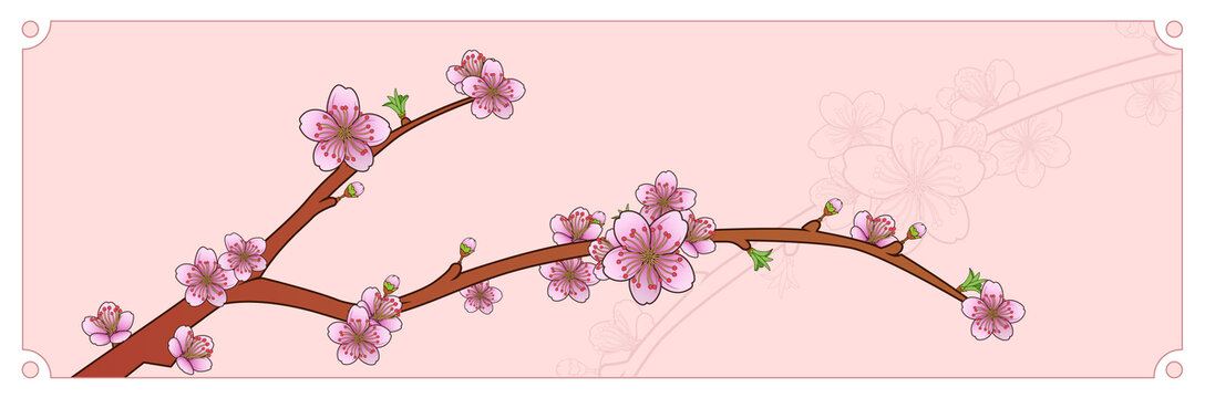 春天植物桃花花朵盛開元素