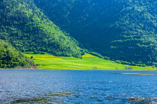 香格里拉纳帕海景区草原风光