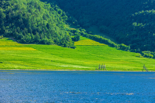 香格里拉纳帕海景区草原风光