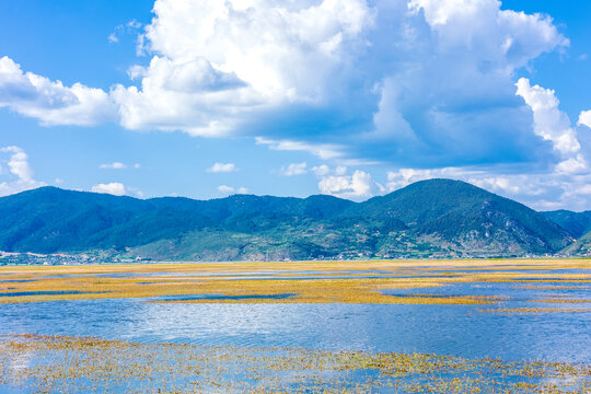 香格里拉纳帕海景区草原风光