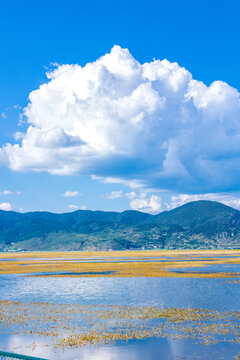 香格里拉纳帕海景区草原风光