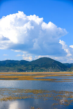 香格里拉纳帕海景区草原风光