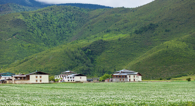 香格里拉伊拉草原纳帕海景区