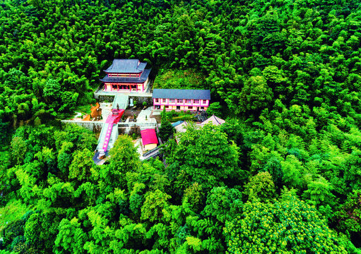 金栗禅寺